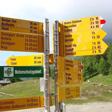 Plattjistein * Törbel