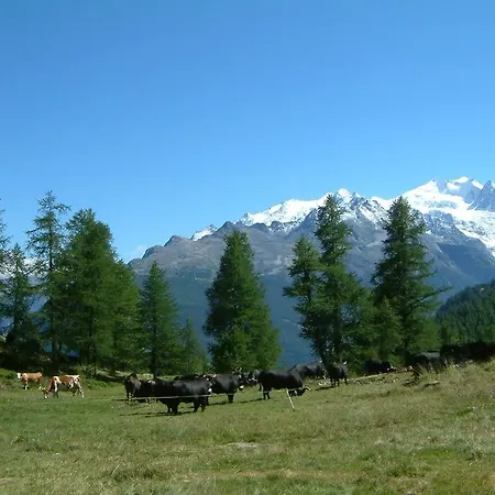 Plattjistein * Törbel